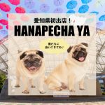 念願の愛知出店決定！！