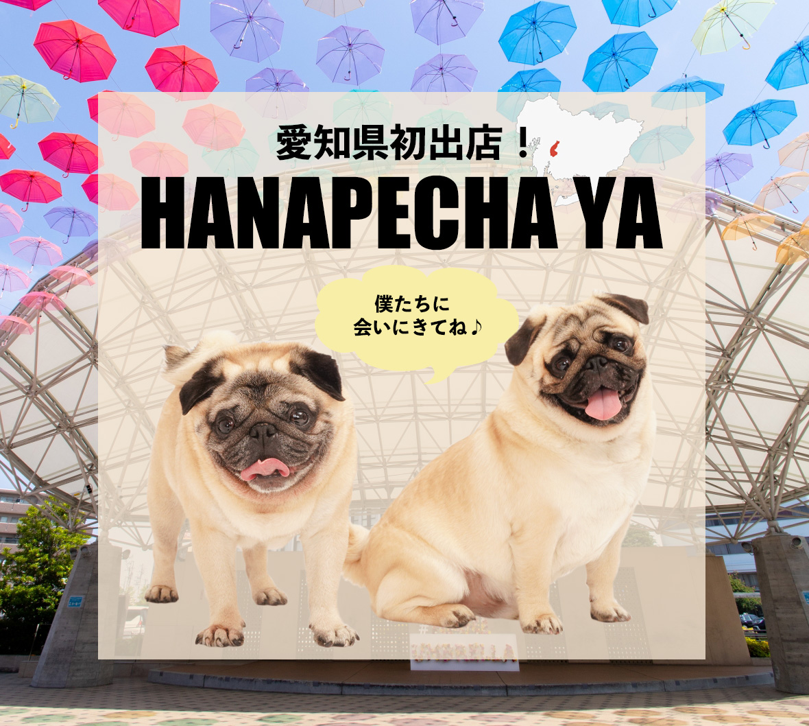 念願の愛知出店決定！！