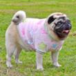 スターフリースTシャツ(ピンク)