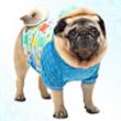 ふわもこパグパーカー(ブルー)