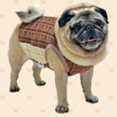 チョコレートタンクトップ(チョコ)