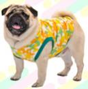 スターカモフラージュパーカー(イエロー)