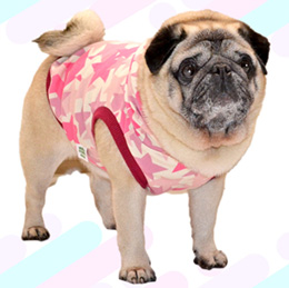 スターカモフラージュパーカー(ピンク)