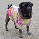 ハートグラデーショントレーナー