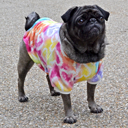 ハートグラデーショントレーナー