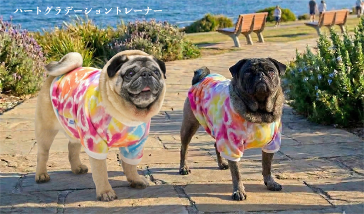 ハートグラデーショントレーナー