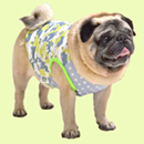 はなペチャクールタンクトップ(グリーン)