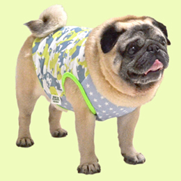 はなペチャクールタンクトップ(グリーン)