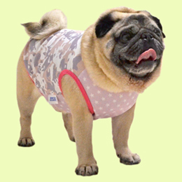 はなペチャクールタンクトップ(ピンク)