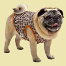 ハートレオパードクールタンクトップ(ベージュ×テラコッタ)