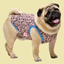 ハートレオパードクールタンクトップ(ピンク×水色)