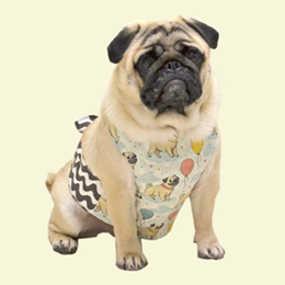 風船パグクールエプロン