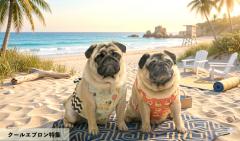 クールエプロン特集