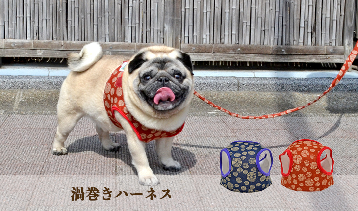 渦巻きハーネス