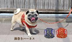 渦巻きハーネス