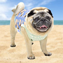 PUG&Sea Shellsタックトップ