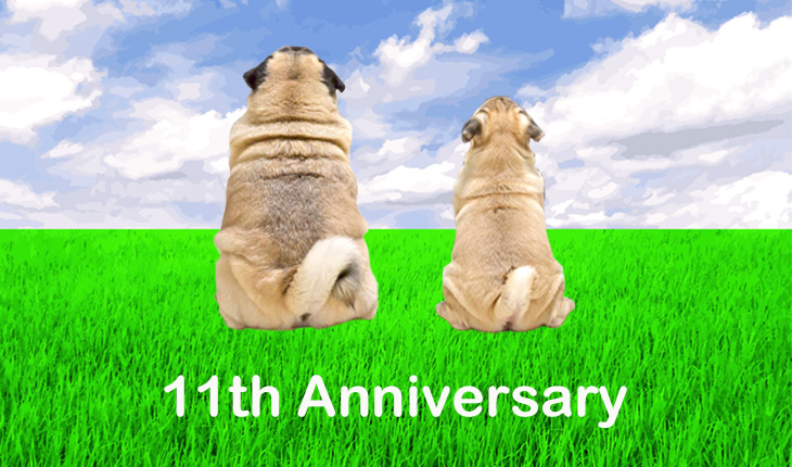 11周年