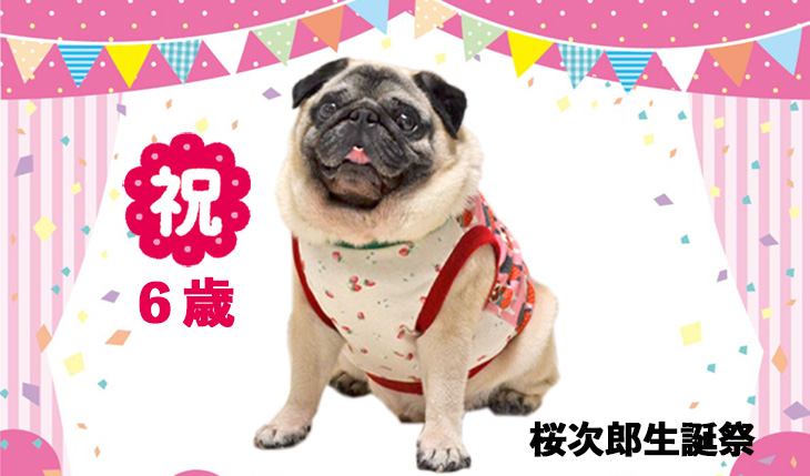 桜次郎生誕祭2025