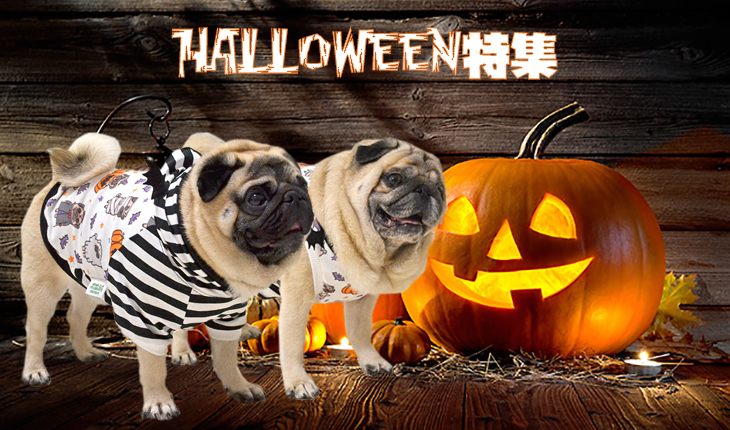 ハロウィン特集