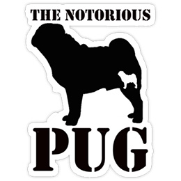 THE　NOTORIOUS PUG