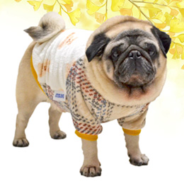 テディベアフリースTシャツ