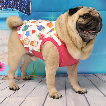 The4thanniversary Hanapecha Ya はなペチャ家